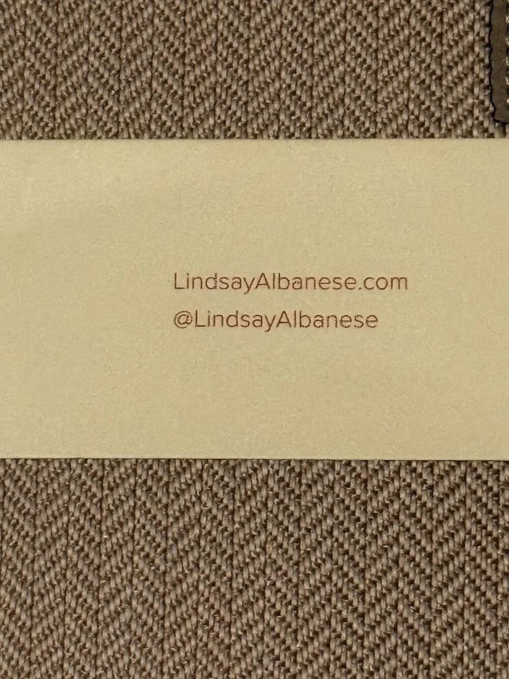 Lindsay Albanese Daily Laptop Clutch 14.5